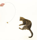 Cat Dancer Original Interactive Cat Toy