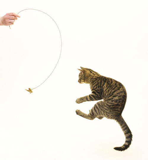 Cat Dancer Original Interactive Cat Toy