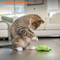 Catstages Catnip Crinkle Pickle Teether