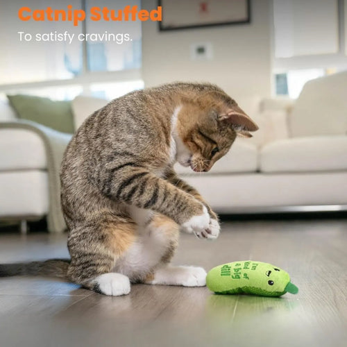 Catstages Catnip Crinkle Pickle Teether